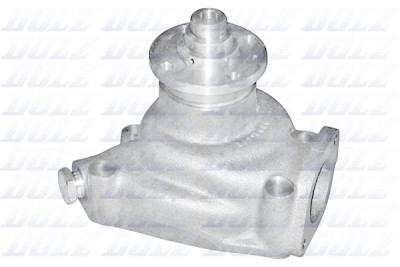 Pompe à eau DOLZ P318