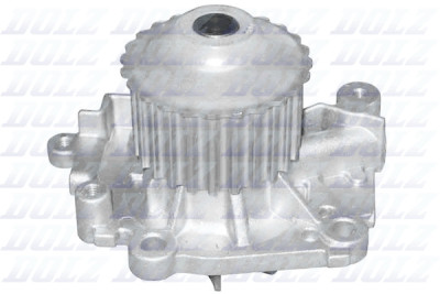 Pompe à eau DOLZ R301