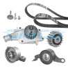 Kit pompe à eau + courroie de distribution DAYCO KTBWP142B0