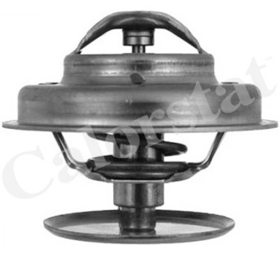 Thermostat d'eau