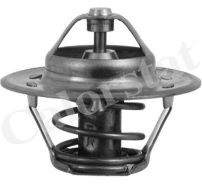 Thermostat d'eau
