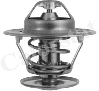 Thermostat d'eau