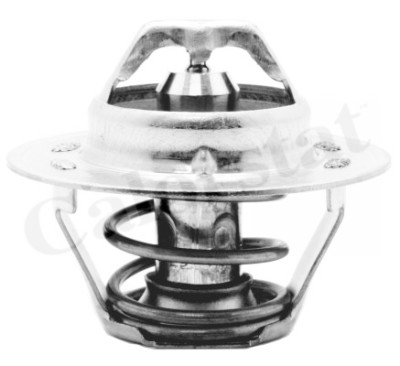 Thermostat d'eau