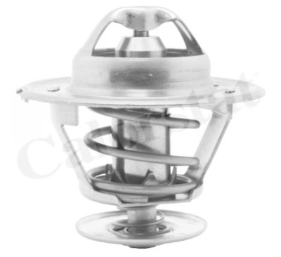 Thermostat d'eau