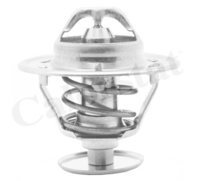 Thermostat d'eau
