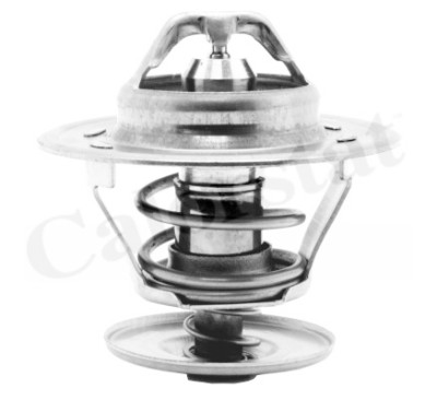 Thermostat d'eau