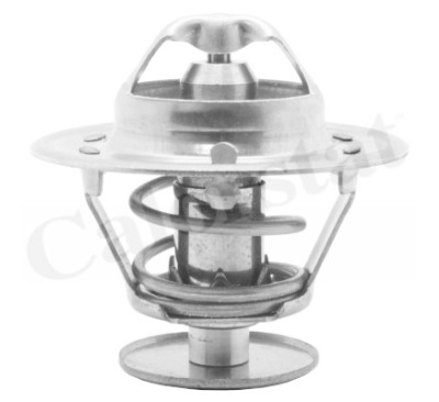 Thermostat d'eau