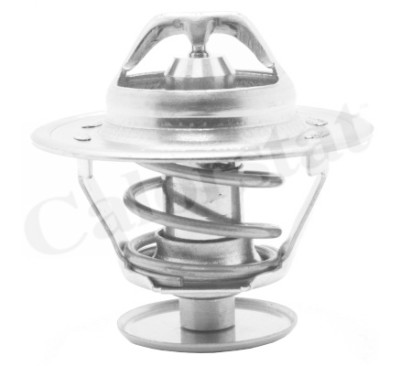 Thermostat d'eau