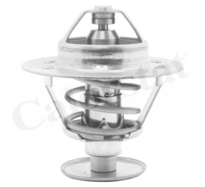 Thermostat d'eau CALORSTAT de Vernet TH1538.82J