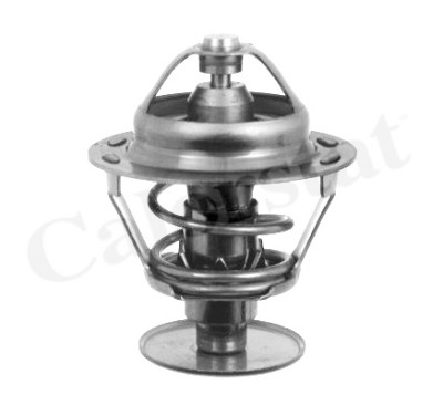 Thermostat d'eau CALORSTAT de Vernet TH1542.89J
