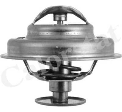 Thermostat d'eau