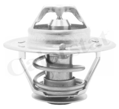 Thermostat d'eau