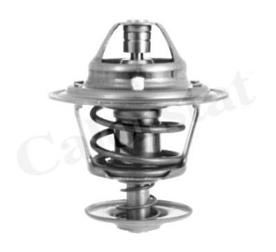 Thermostat d'eau