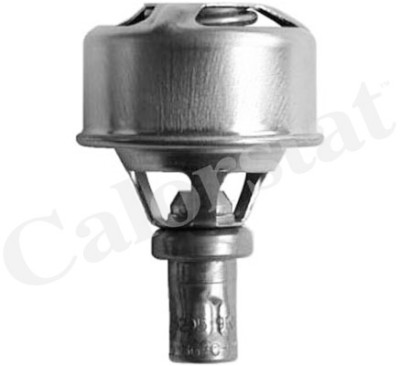 Thermostat d'eau CALORSTAT de Vernet TH4495.86