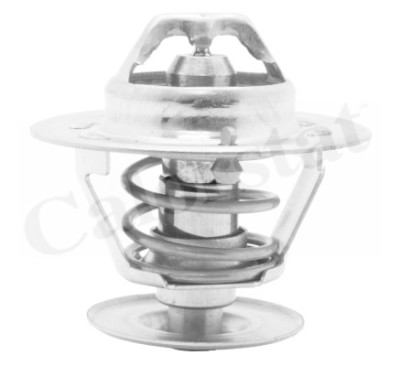 Thermostat d'eau CALORSTAT de Vernet TH4561.92J