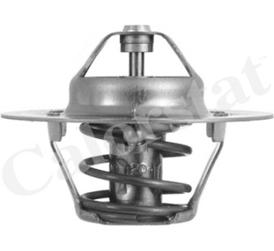 Thermostat d'eau