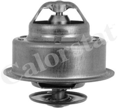 Thermostat d'eau