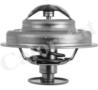 Thermostat d'eau CALORSTAT de Vernet TH4947.81J