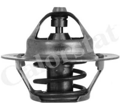 Thermostat d'eau CALORSTAT de Vernet TH5075.88J