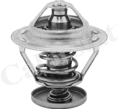 Thermostat d'eau CALORSTAT de Vernet TH5079.82J