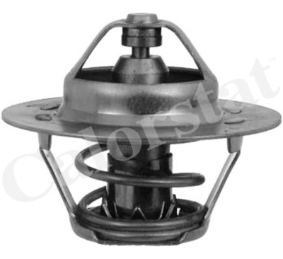 Thermostat d'eau CALORSTAT de Vernet TH5108.89J