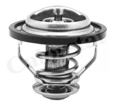 Thermostat d'eau