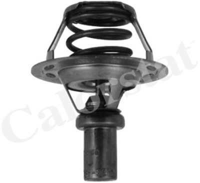 Thermostat d'eau CALORSTAT de Vernet TH5284.91J