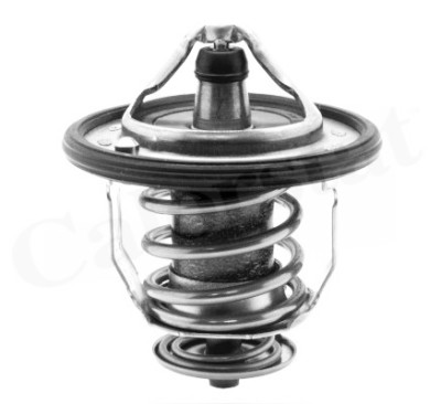 Thermostat d'eau CALORSTAT de Vernet TH5434.82J