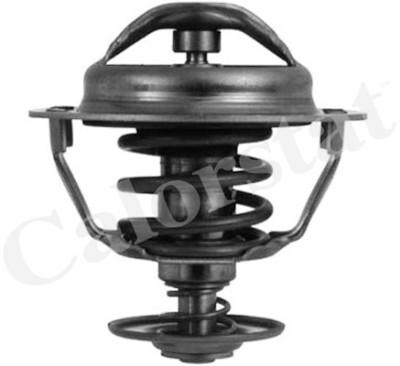 Thermostat d'eau CALORSTAT de Vernet TH5446.83J