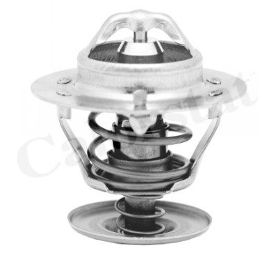Thermostat d'eau CALORSTAT de Vernet TH5750.88J
