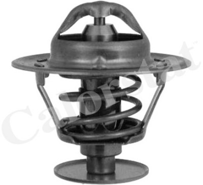 Thermostat d'eau