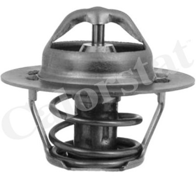 Thermostat d'eau CALORSTAT de Vernet TH5955.88J
