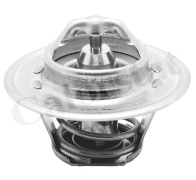 Thermostat d'eau CALORSTAT de Vernet TH5962.82J