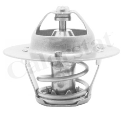 Thermostat d'eau CALORSTAT de Vernet TH5971.82J
