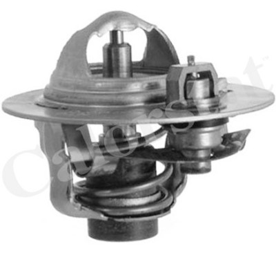 Thermostat d'eau CALORSTAT de Vernet TH5980.88J