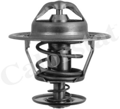 Thermostat d'eau