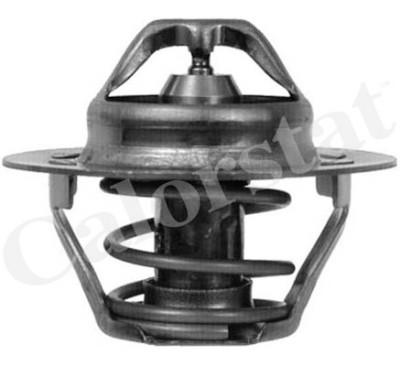 Thermostat d'eau