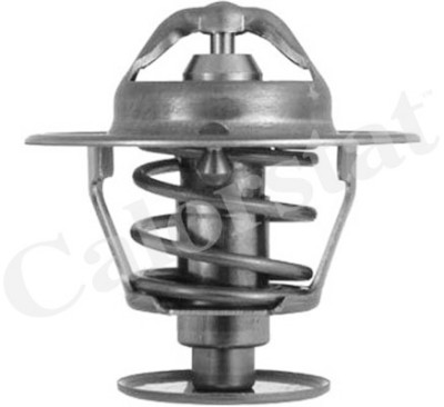 Thermostat d'eau