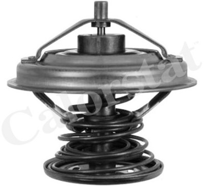 Thermostat d'eau