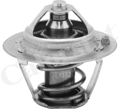 Thermostat d'eau CALORSTAT de Vernet TH6245.82J
