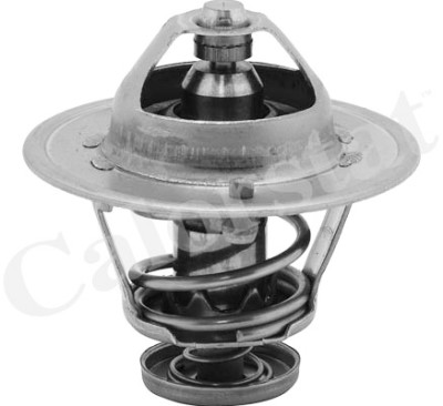 Thermostat d'eau CALORSTAT de Vernet TH6252.85J