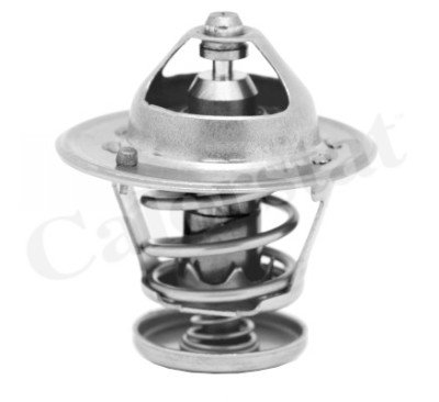 Thermostat d'eau CALORSTAT de Vernet TH6267.78J