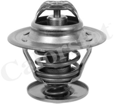 Thermostat d'eau CALORSTAT de Vernet TH6273.87J