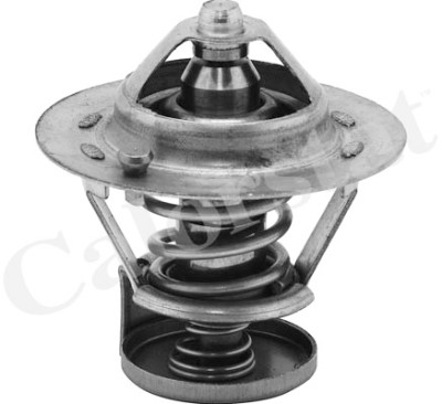 Thermostat d'eau