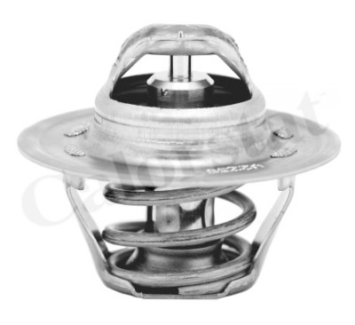 Thermostat d'eau CALORSTAT de Vernet TH6276.87J