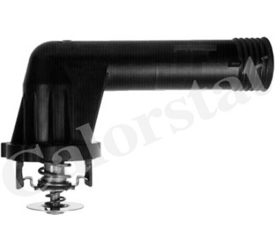 Thermostat d'eau CALORSTAT de Vernet TH6284.95J