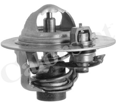 Thermostat d'eau