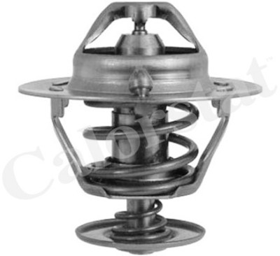 Thermostat d'eau