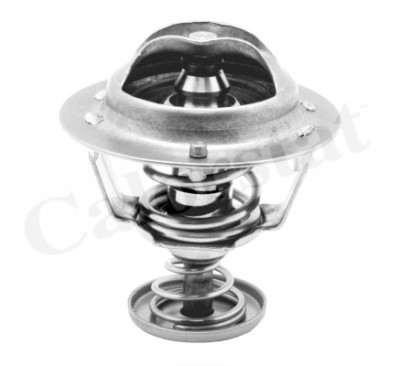 Thermostat d'eau CALORSTAT de Vernet TH6295.82J