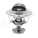 Thermostat d'eau